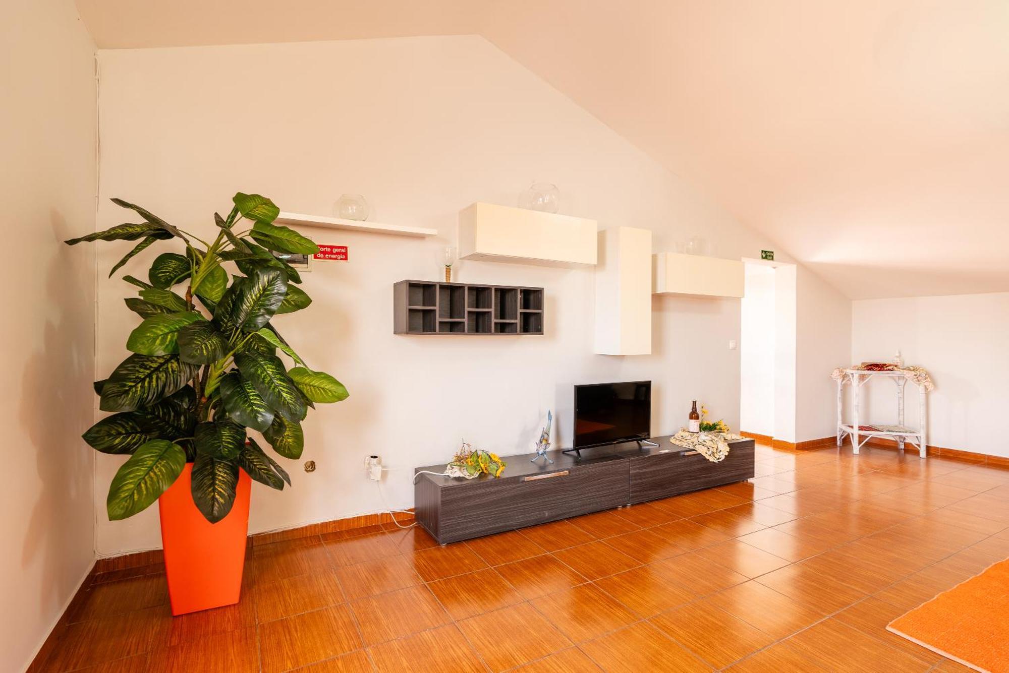Apartamento Celia 阿科达卡列塔 外观 照片